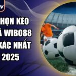 Cách chọn kèo bóng đá Wibo88