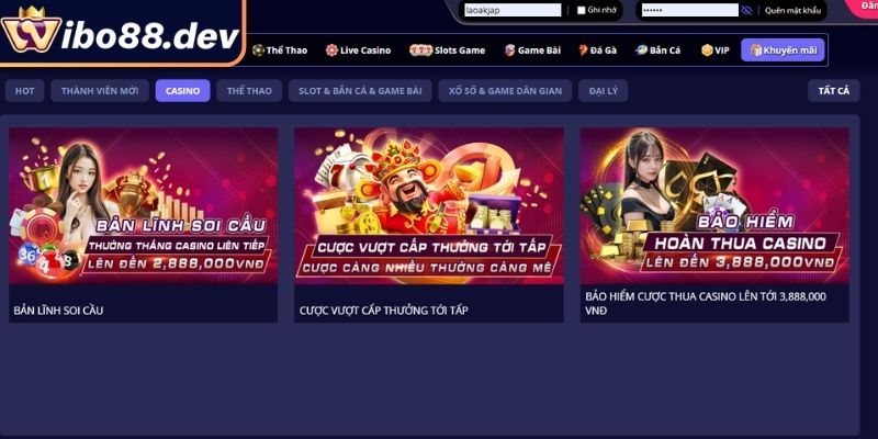 Casino và sport nhận tới 275 VNĐ