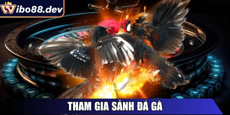 Tham gia sảnh Đá Gà